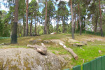 Mariebergsskogen | Karlstad| Värmland | Sweden