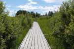 Mariebergsskogen | Karlstad| Värmland | Sweden