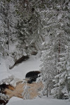 Holiday Home HagforsSemester | Brattfallet Waterfall